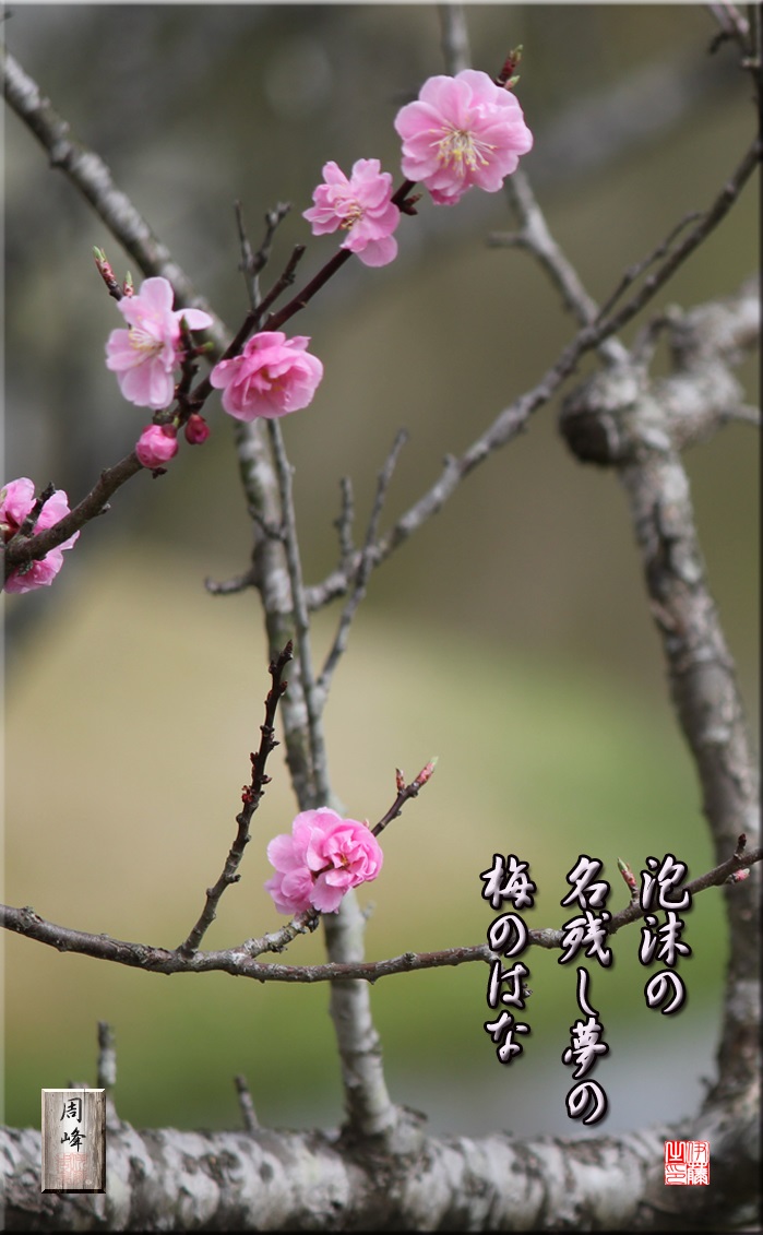 第55回平泉芭蕉祭全国俳句大会 